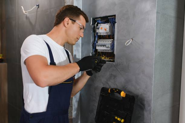 Best Home Electrical Repair  in Wapello, IA